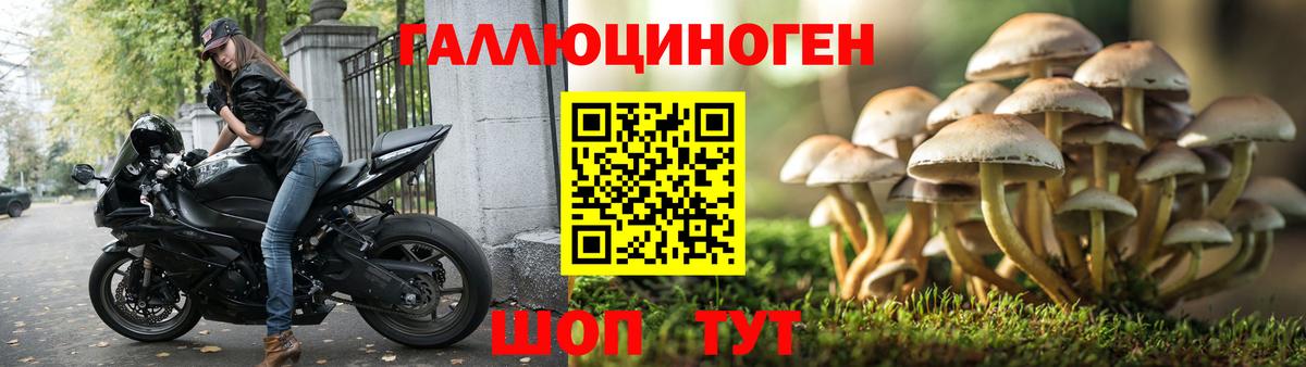 Псилоцибиновые грибы мицелий Ногинск
