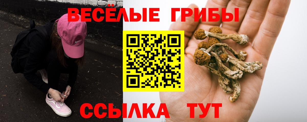 Псилоцибиновые грибы прущие грибы  Вход с VPN  Галлюциногенные грибы мухоморы  Ногинск 