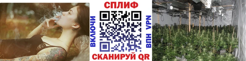 Шишки марихуана LSD WEED  shop клад  Ногинск 